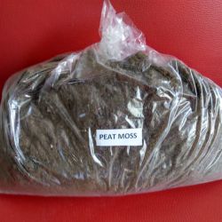 Peat moss